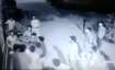 Delhi University's Kirori Mal College student alleges he