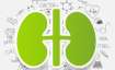 World Kidney Day 2020: 7 Ways to keep your kidneys healthy