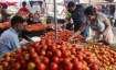 Tomato prices 