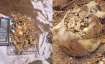 'Mere Des Ki Dharti Sona Ugle' turns real for farmer who finds 5Kg gold while digging land