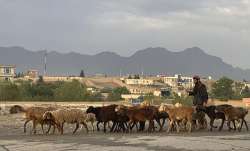 afghan rocket attack, 
