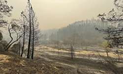 CALIFORNIA WILDFIRES