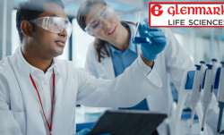 Glenmark Life Sciences IPO allotment status finalised 