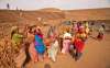 MGNREGA