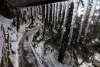 Shimla: Icicles hang from the roof of a building on a cold